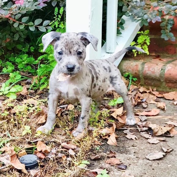 C’est moi, Maggie 😊 - Picture 3 of 6